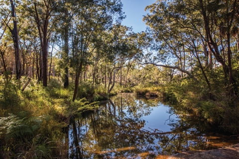 Blackdown Tableland National Park - Accommodation Directory 2