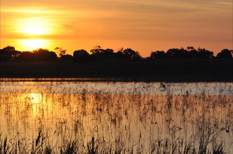 Bool Lagoon Game Reserve And Hacks Lagoon Conservation Park - Accommodation Directory 0