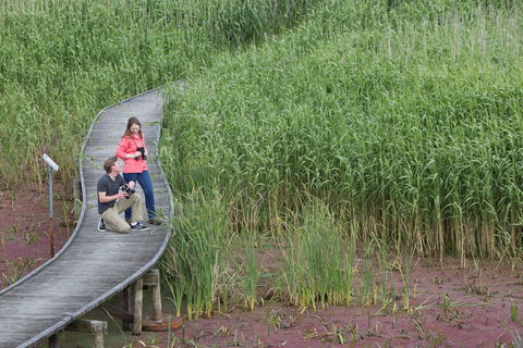 Bool Lagoon Game Reserve And Hacks Lagoon Conservation Park - Accommodation Directory 2