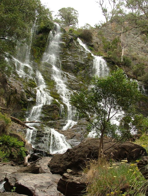 Buddong Falls Walking Track - Accommodation Directory 0