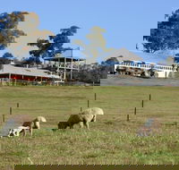 Calmsley Hill City Farm - Accommodation Directory