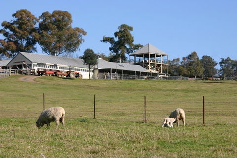 Calmsley Hill City Farm - Accommodation Directory 0