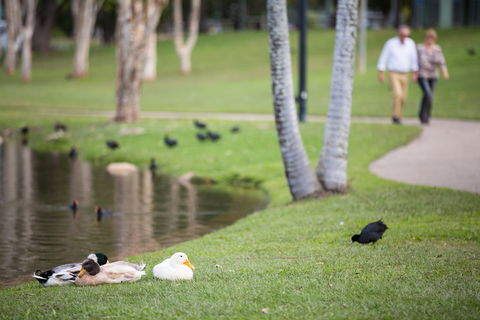 Centenary Lakes Park - Accommodation Directory 2