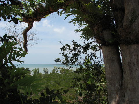 Channel Point Coastal Reserve - Accommodation Directory 0
