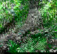 Djiru National Park - Accommodation Directory