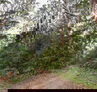 End Peak walking track - Accommodation Directory