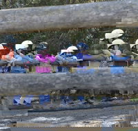 Harlow Park Horse Riding - Accommodation Directory