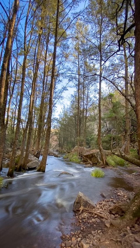 Horton Falls And Walks - Accommodation Directory 2