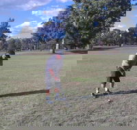 Inverell Golf Club - Accommodation Directory