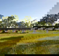 Katherine Railway Trestle Bridge - Accommodation Directory