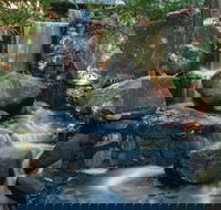 Mackay Regional Botanic Gardens - Accommodation Directory
