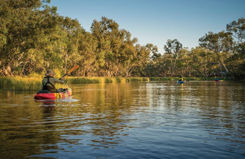 Macquarie Marshes Nature Reserve - Accommodation Directory 0