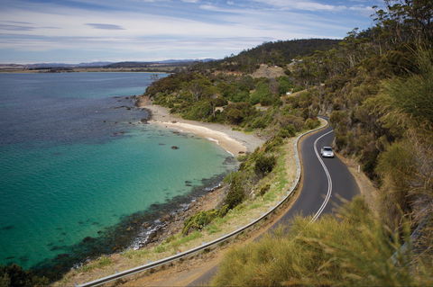 Mayfield Bay Coastal Reserve - Accommodation Directory 0