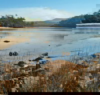 Merrica River Nature Trail - Accommodation Directory