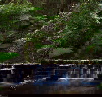 Millards Creek Walk and Cycleway - Accommodation Directory