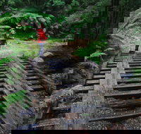 Montezuma Falls - Accommodation Directory