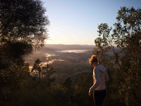 Mount Arthur Reserve - Accommodation Directory 0