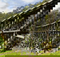 Noojee Trestle Bridge - Accommodation Directory