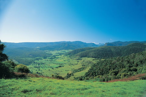 Numinbah Section, Springbrook National Park - Accommodation Directory 0