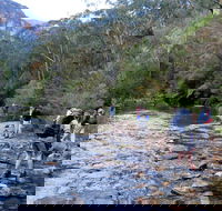 Pierces Pass - Accommodation Directory