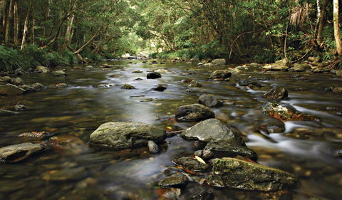 Plateau Circuit Loop Trail - Accommodation Directory 0