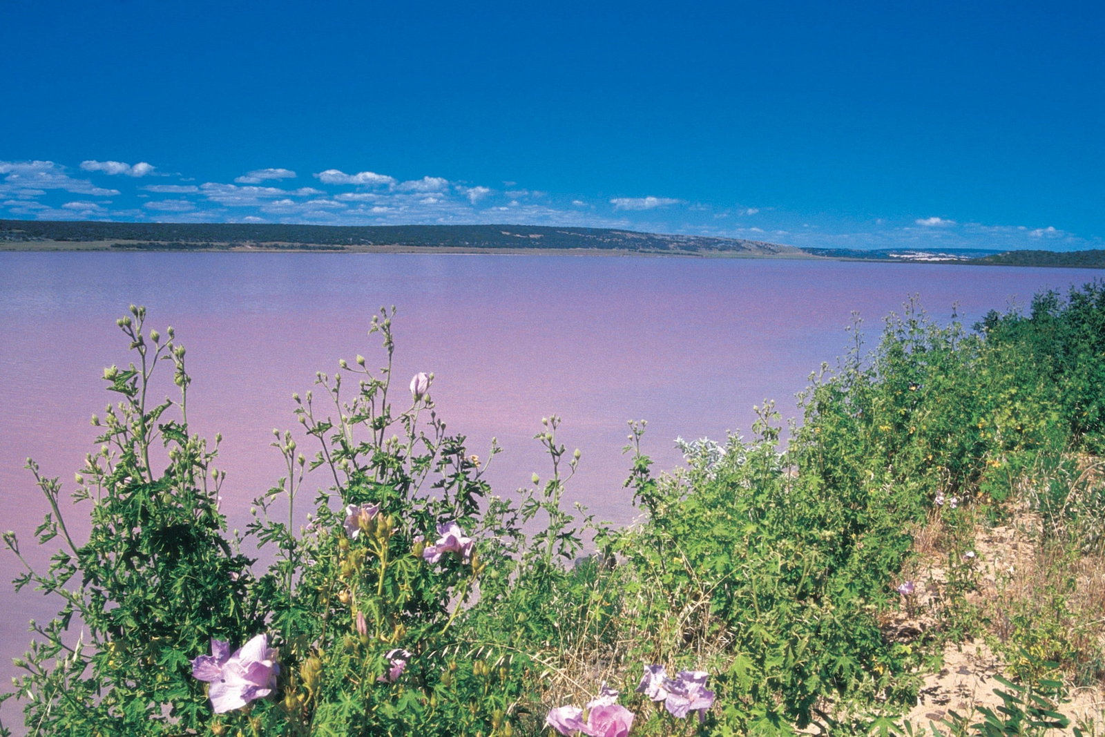 Gregory WA Accommodation Directory