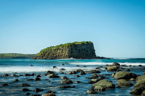 Rangoon Island, Minnamurra - Accommodation Directory 0