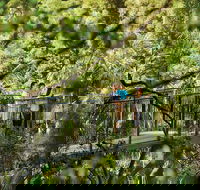 Tamborine Mountain - Accommodation Directory
