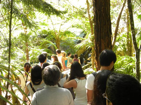 Tamborine Mountain Glow Worm Tours - Accommodation Directory 1