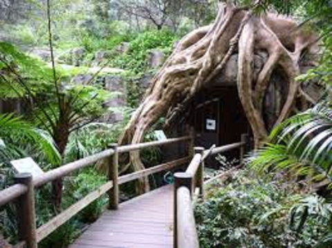 Tamborine Mountain Glow Worm Tours - Accommodation Directory 2
