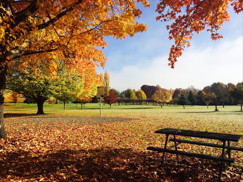 Tenterfield - Accommodation Directory 2