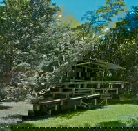 Terania Creek Picnic Area - Accommodation Directory