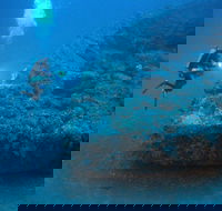 The Zanoni Wreck - Accommodation Directory