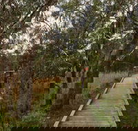 The Briars Park Walking Trails - Accommodation Directory