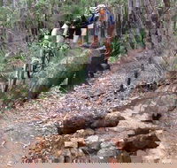 Turner Hill Mountain Bike Trail Murray - Accommodation Directory