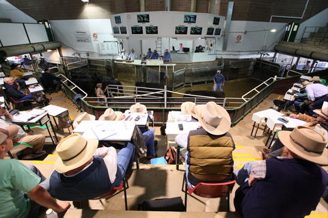 Wagga Wagga Livestock Marketing Centre - Accommodation Directory 2