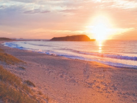 Warilla Beach: Shellharbour - Accommodation Directory 0