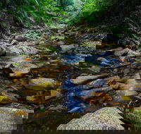 Willi Willi National Park - Accommodation Directory