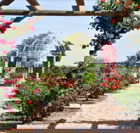 Australian Inland Botanic Gardens - Accommodation Directory