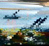 Ayr - Accommodation Directory