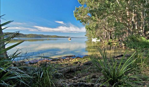Black Oaks Picnic Area - Accommodation Directory 0