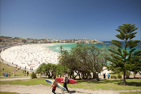 Bondi To Coogee Coastal Walk - Accommodation Directory 0