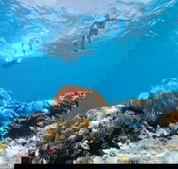 Capricorn Coast and Great Keppel Island Drive Itinerary - Accommodation Directory