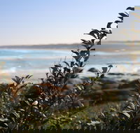 Cape Conran Coastal Park - Accommodation Directory