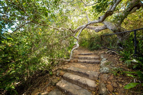 Capricorn Coast National Park - Accommodation Directory 2