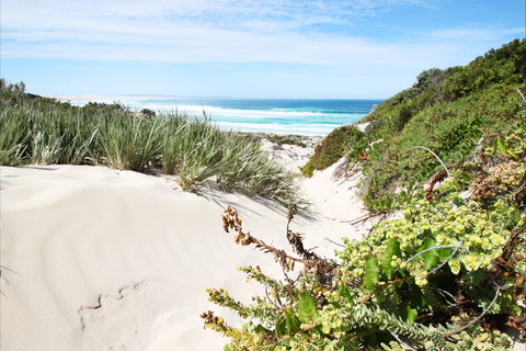 Coffin Bay National Park - Accommodation Directory 1