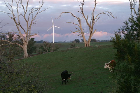Crookwell Wind Farm - Accommodation Directory 1
