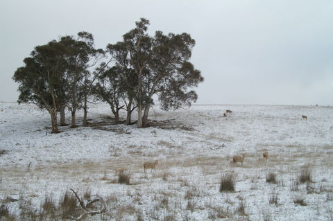Crookwell Wind Farm - Accommodation Directory 2