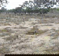 Culgoa Connellys Track - Accommodation Directory