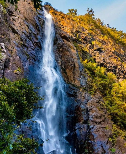 Ellenborough Falls - Accommodation Directory 0